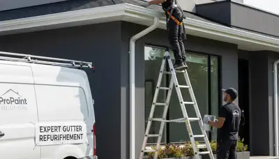 Professional gutter painting on a Lynchburg VA home by expert house painters for lasting curb appeal